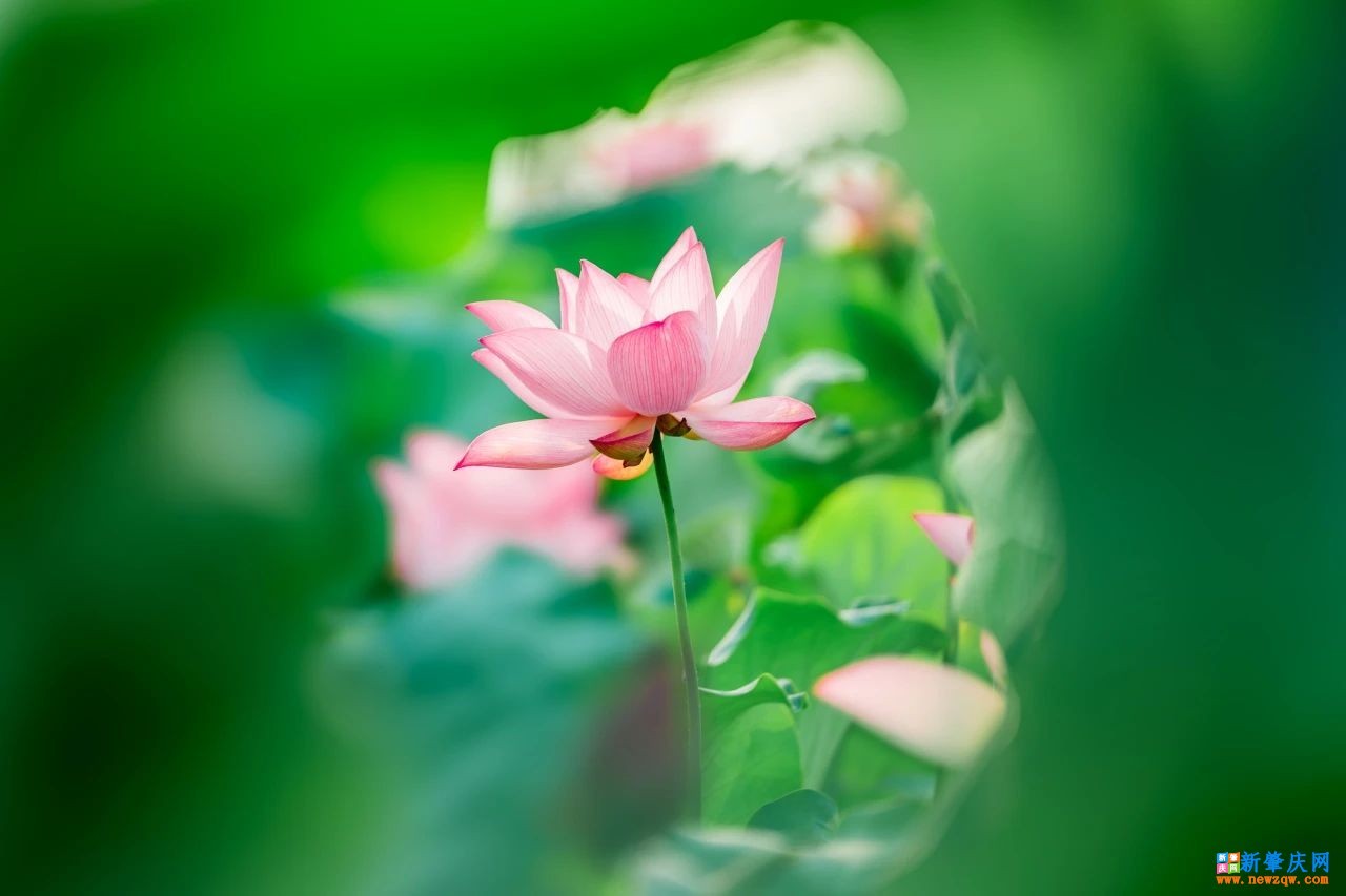 a75908b11399176380fbd13971a8c6d5.jpg