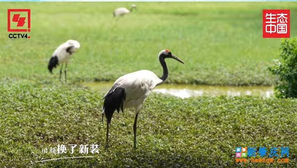 a61d3069b13102e015330a76a82a8a0c.png